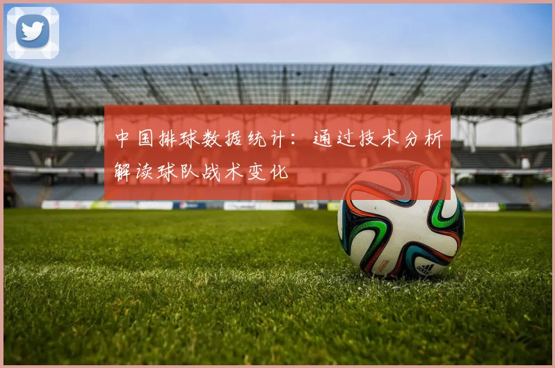 中国排球数据统计：通过技术分析解读球队战术变化