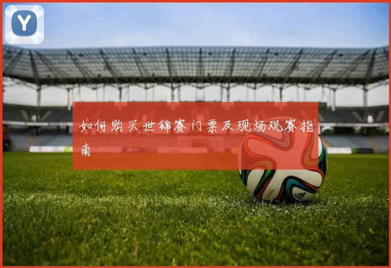 如何购买世锦赛门票及现场观赛指南