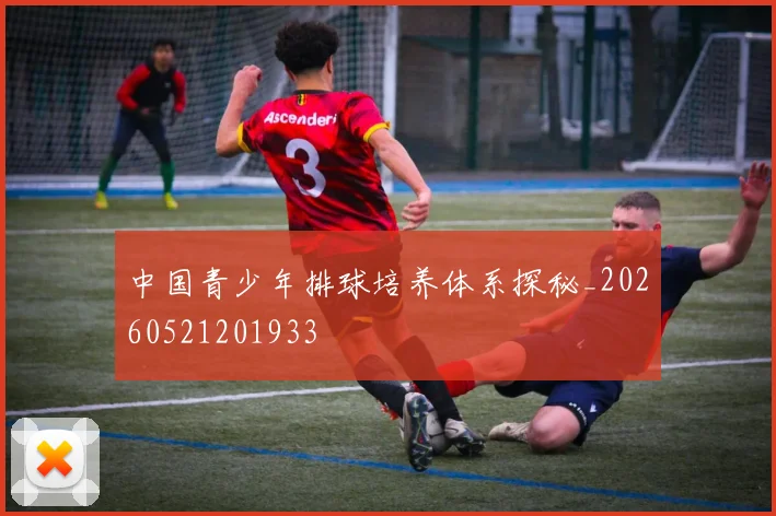中国青少年排球培养体系探秘_20260521201933