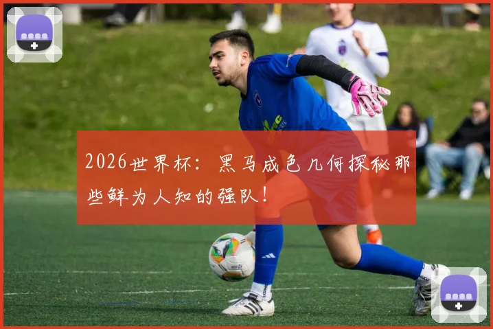 2026世界杯：黑马成色几何探秘那些鲜为人知的强队！