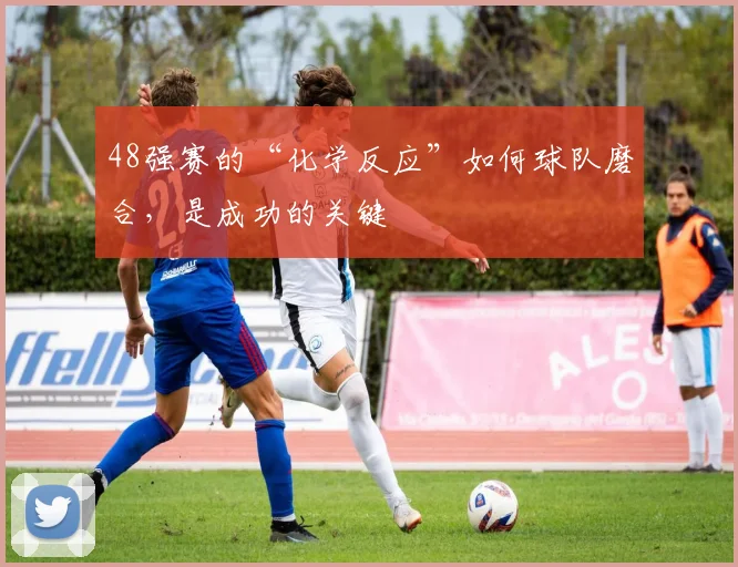 48强赛的“化学反应”如何球队磨合，是成功的关键