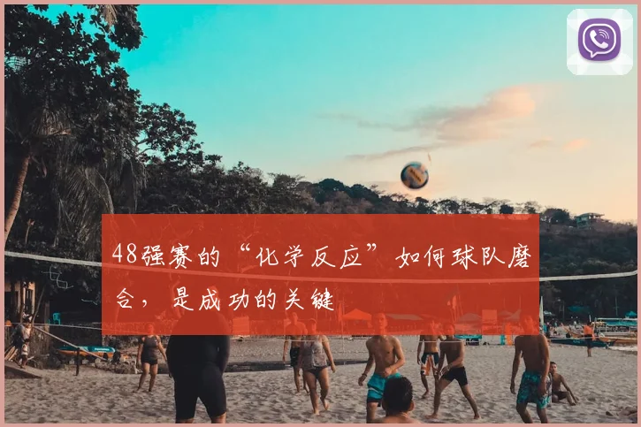 48强赛的“化学反应”如何球队磨合，是成功的关键