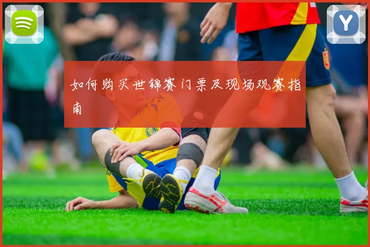 如何购买世锦赛门票及现场观赛指南