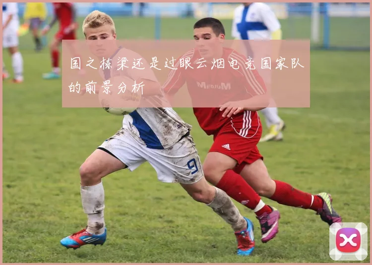 国之栋梁还是过眼云烟电竞国家队的前景分析